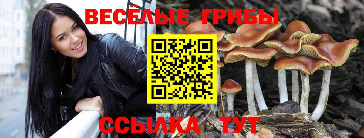 Галлюциногенные грибы MAGIC MUSHROOMS Котельники
